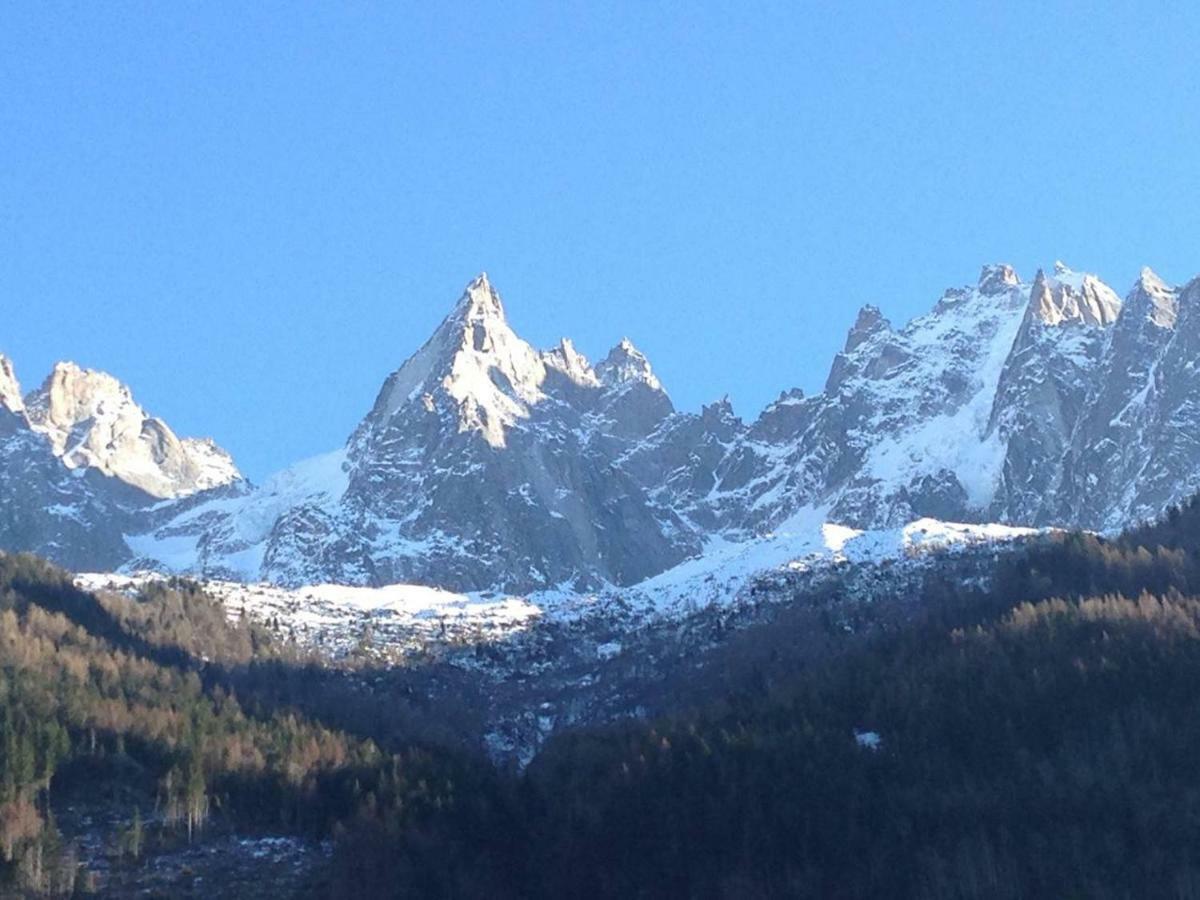 La Ginabelle Chamonix Apartment Bagian luar foto